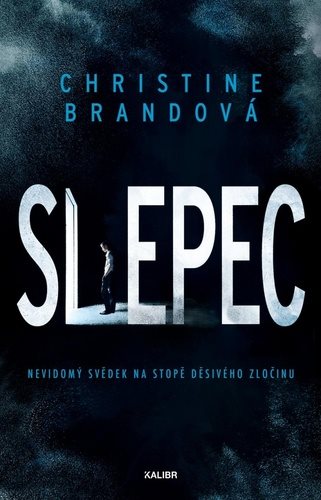 Slepec: Nevidomý svědek na stopě děsivého zločinu
