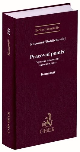 Pracovní poměr: Vybraná ustanovení zákoníku práce