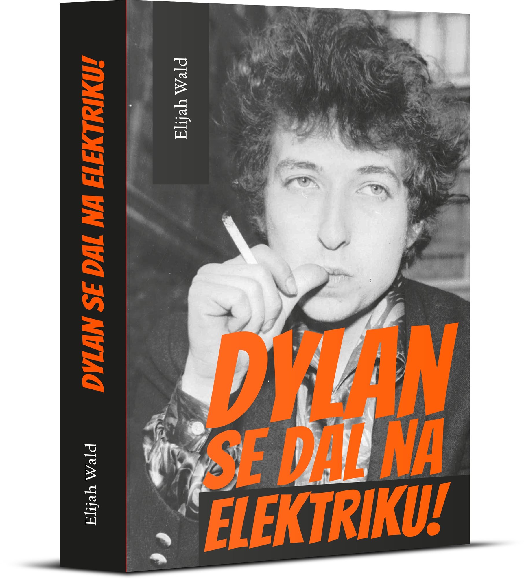 Dylan se dal na elektriku!: Newport, Seeger, Dylan a noc, která rozdělila 60. léta minulého století