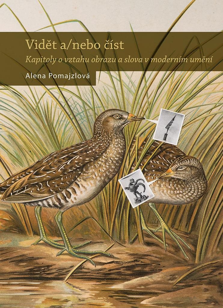 Vidět a/ nebo číst: Kapitoly o vztahu obrazu a slova v moderním umění