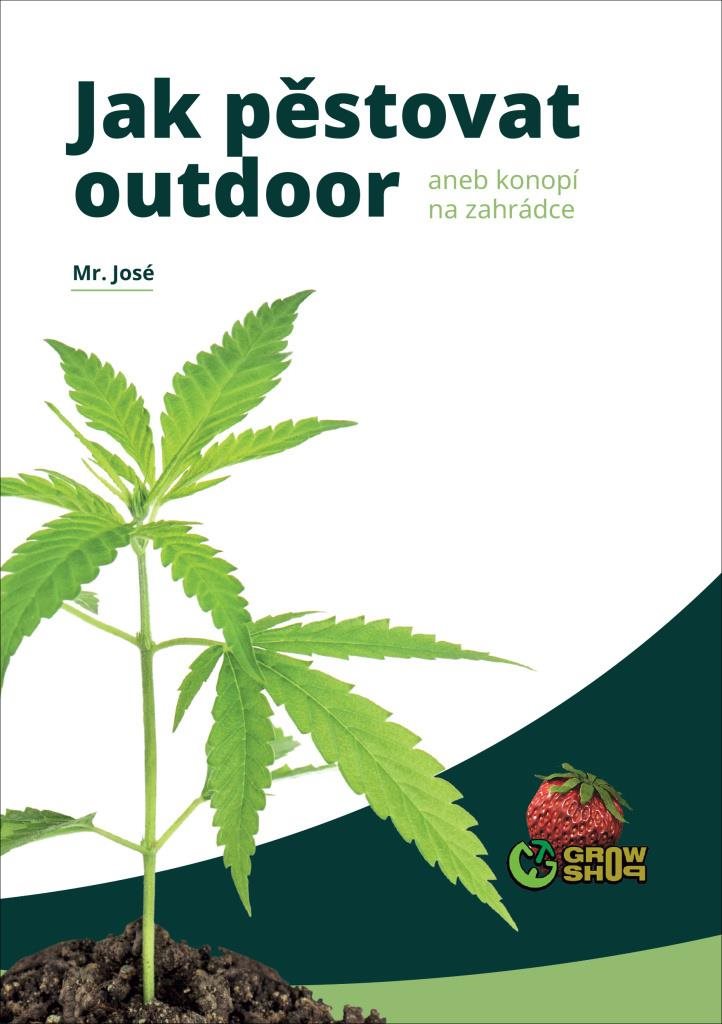 Jak pěstovat outdoor: aneb konopí na zahrádce