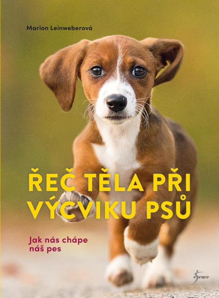 Řeč těla při výcviku psů: Jak nás chápe náš pes