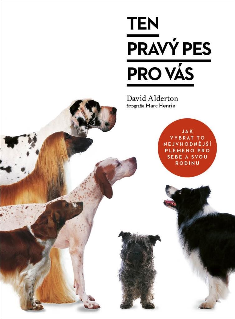 Ten pravý pes pro vás: Jak vybrat to nejvhodnější plemeno pro sebe a svou rodinu