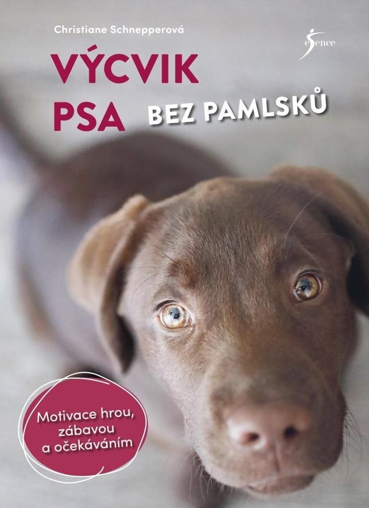 Výcvik psa bez pamlsků: Motivace hrou, zábavou a očekáváním