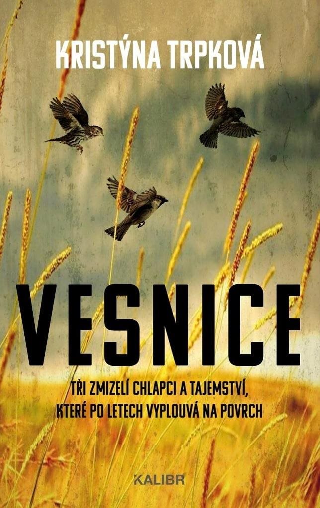 Vesnice: Tři zmizelí chlapci a tajemství, které po letech vyplouvá na povrch