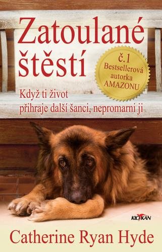 Zatoulané štěstí: Když ti život přihraje další šanci, nepromarni ji