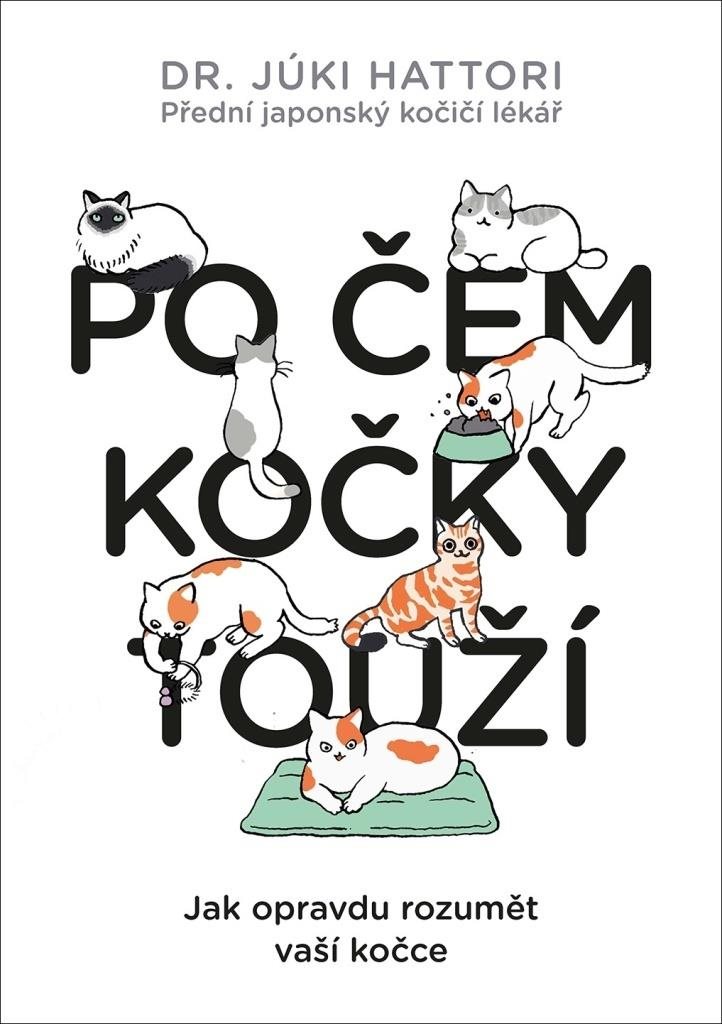 Po čem kočky touží?: Jak opravdu rozumět vaší kočce