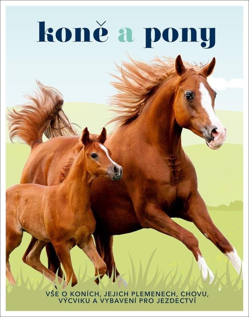 Koně a pony: Vše o koních, jejich plemenech, chovu, výcviku a vybavení pro jezdectví