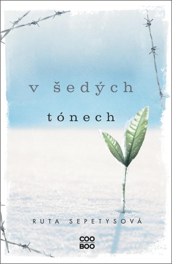 V šedých tónech