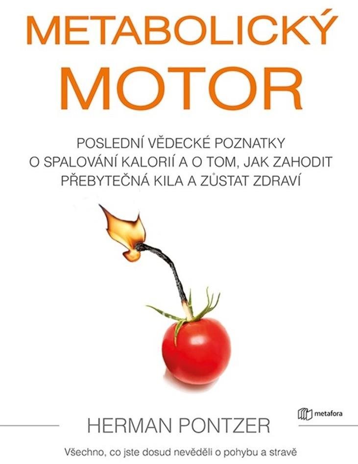 Metabolický motor