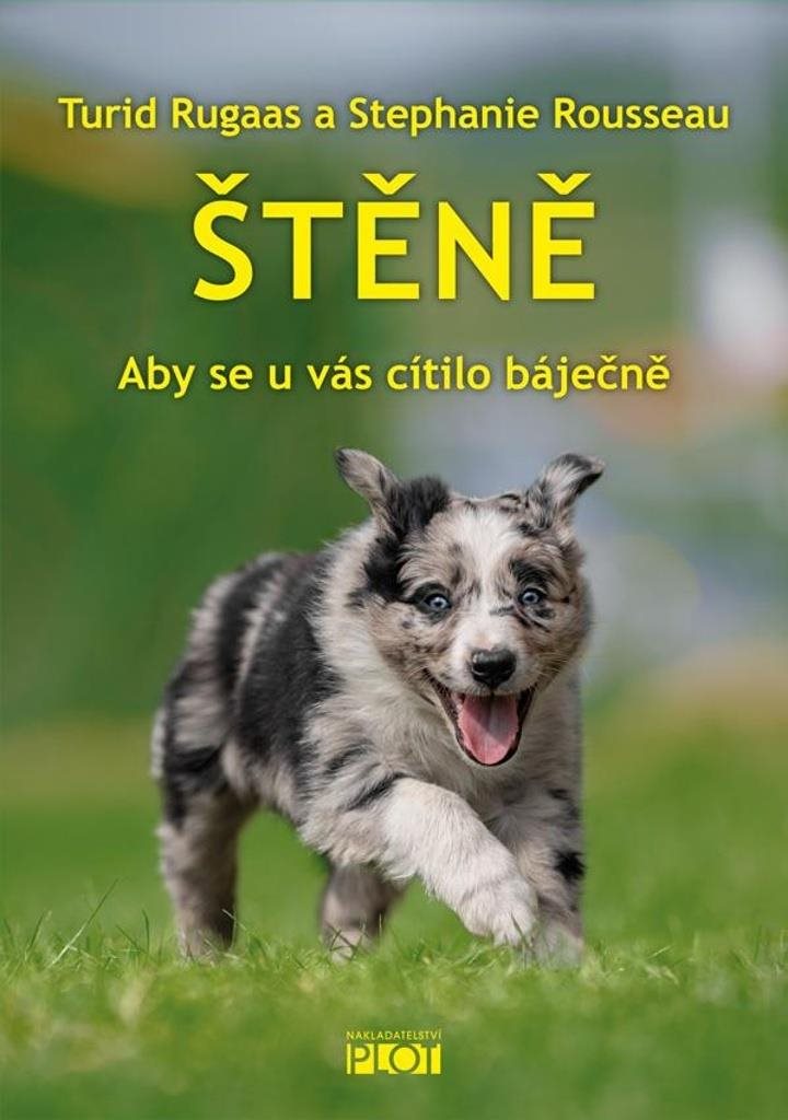 Štěně: Aby se u vás cítilo báječně