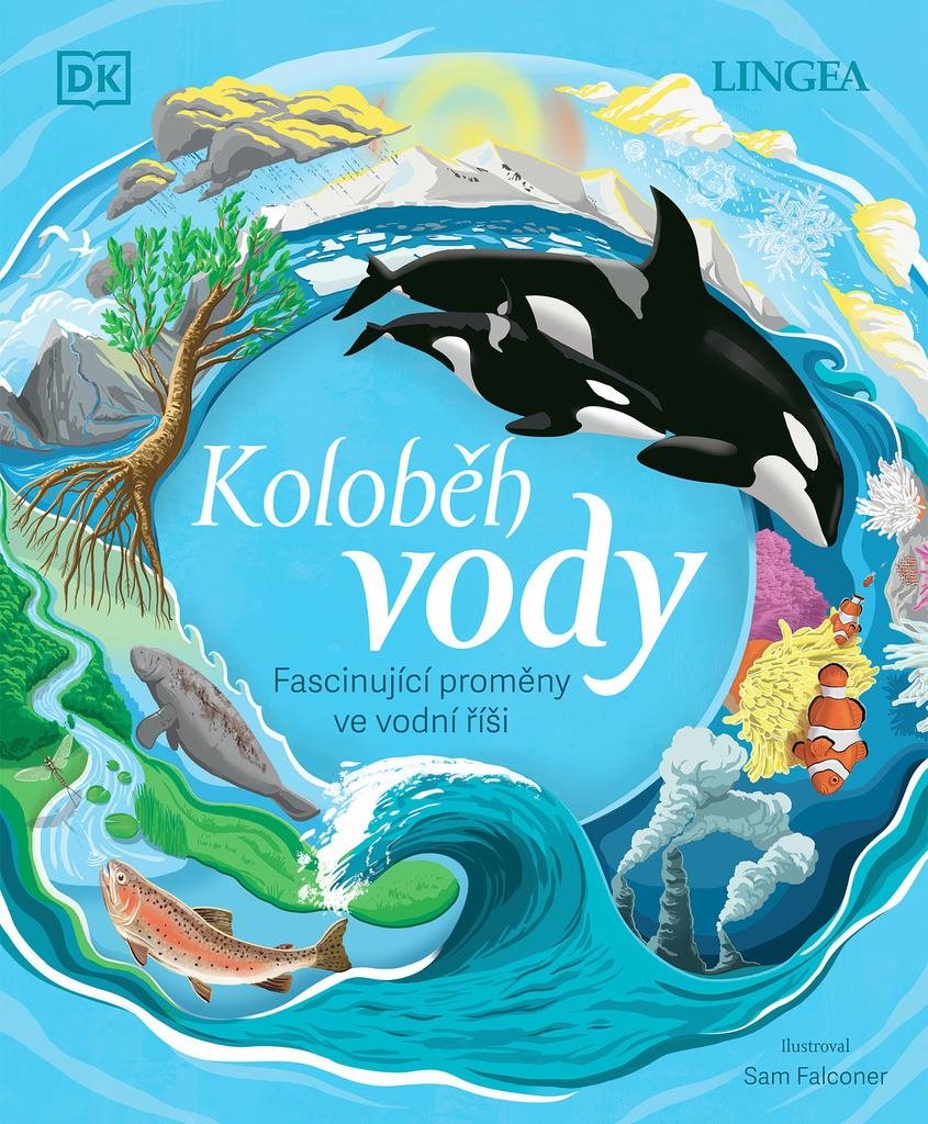 Koloběh vody: Fascinující proměny ve vodní říši