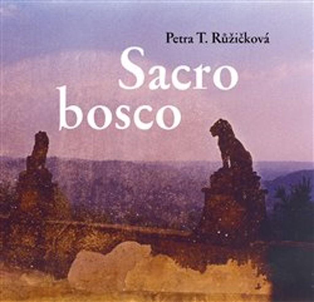 Umělecká kniha Sacro bosco