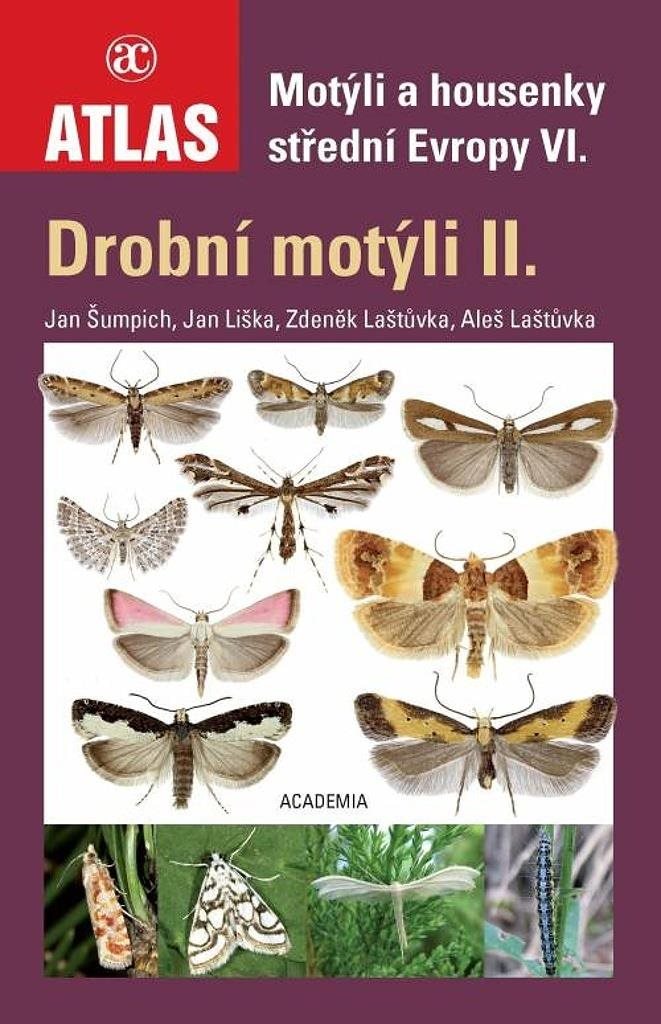 Motýli a housenky střední Evropy VI.: Drobní motýli II.