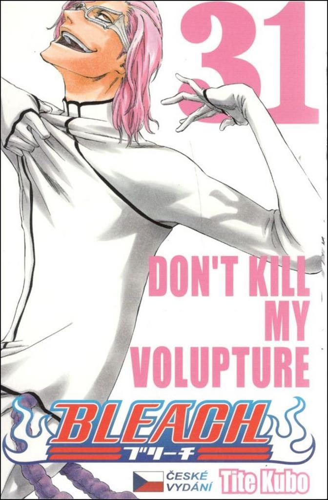 Bleach 31: Don't Kill My Volture
