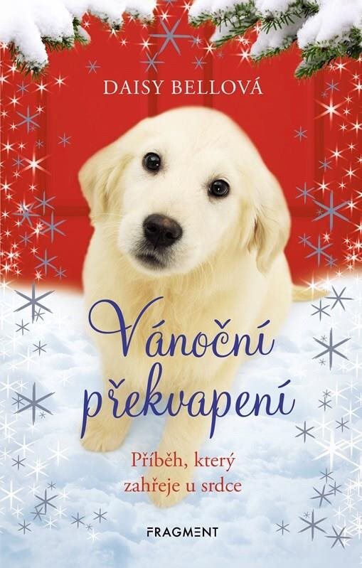 Vánoční překvapení: Příběh, který zahřeje u srdce