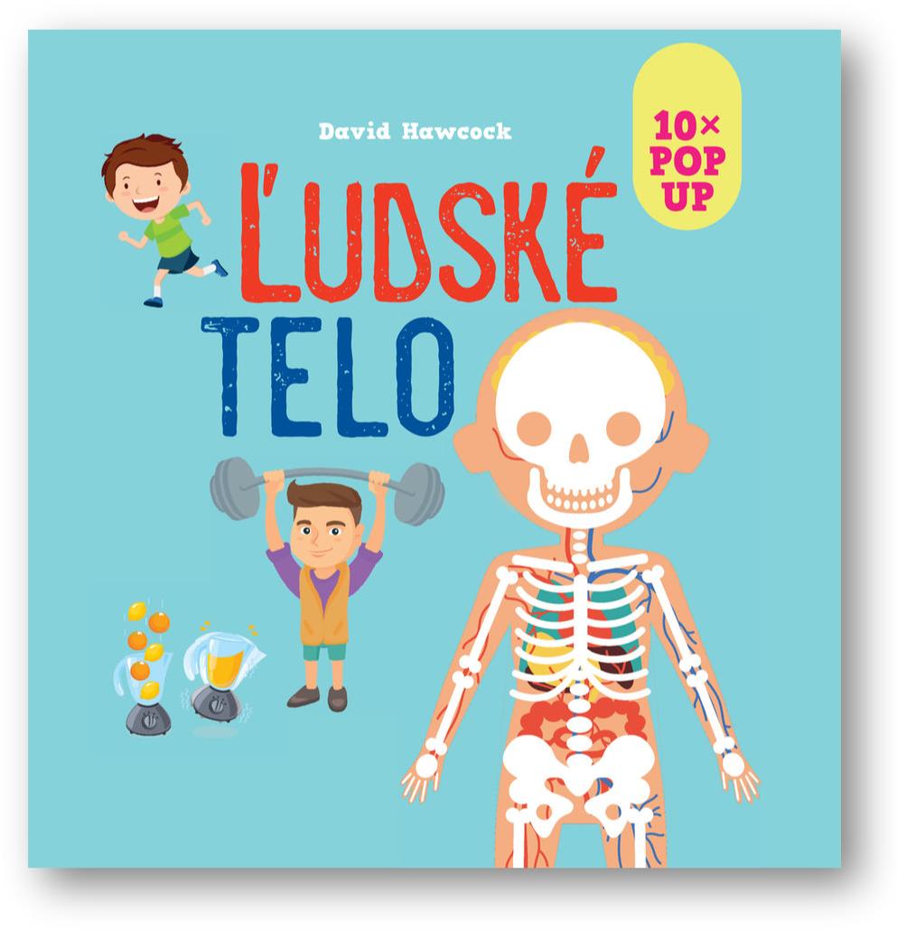 10x POP UP Ľudské telo
