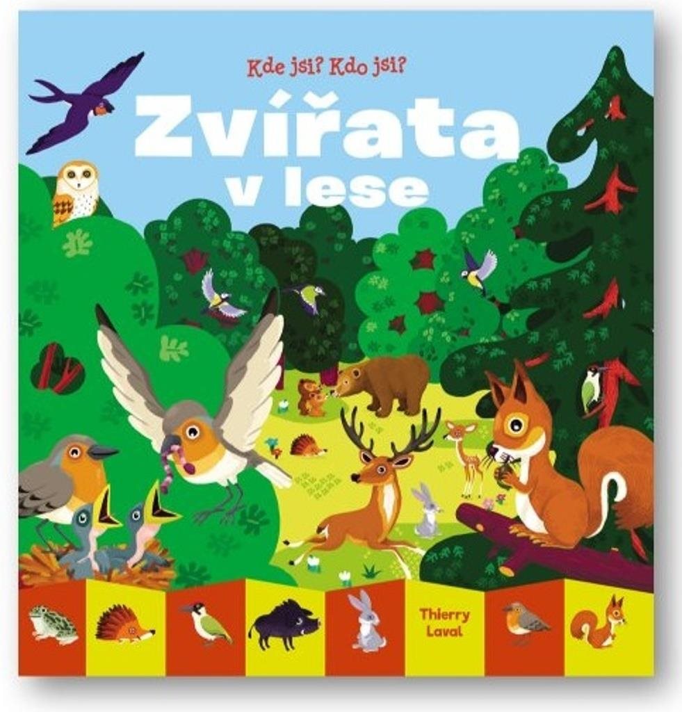 Kde jsi? Kdo jsi? Zvířata v lese