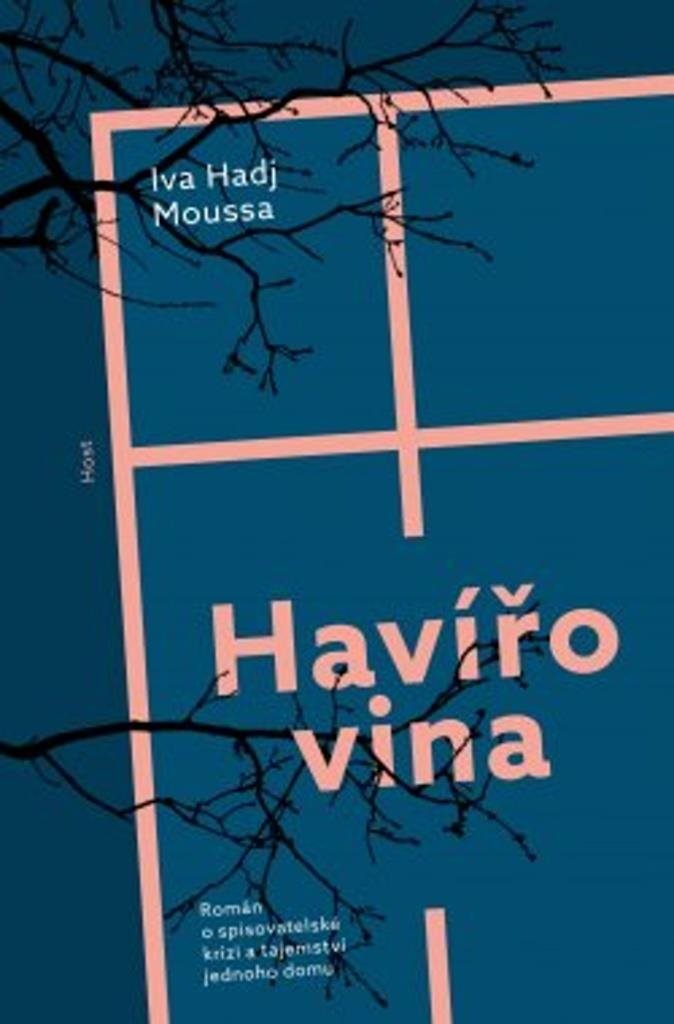 Havířovina: Román o spisovatelské krizi a tajemství jednoho domu