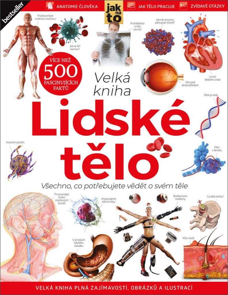 Lidské tělo: Všechno, co potřebujete vědět o svém těle