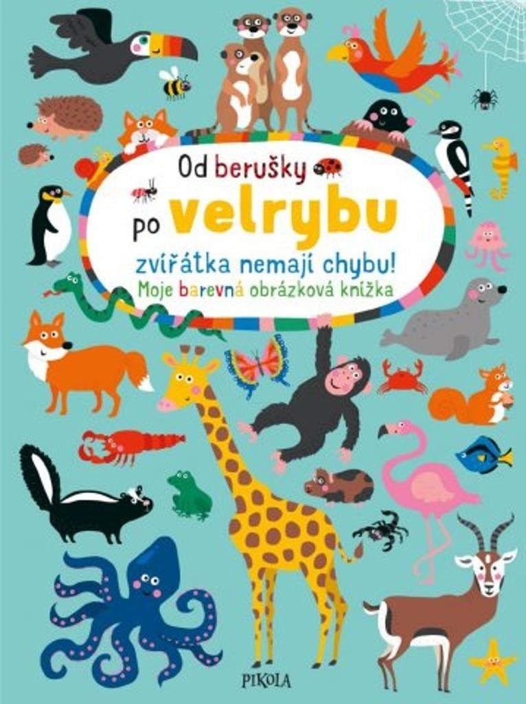 Od berušky po velrybu zvířátka nemají chybu!: Moje barevná obrázková knížka