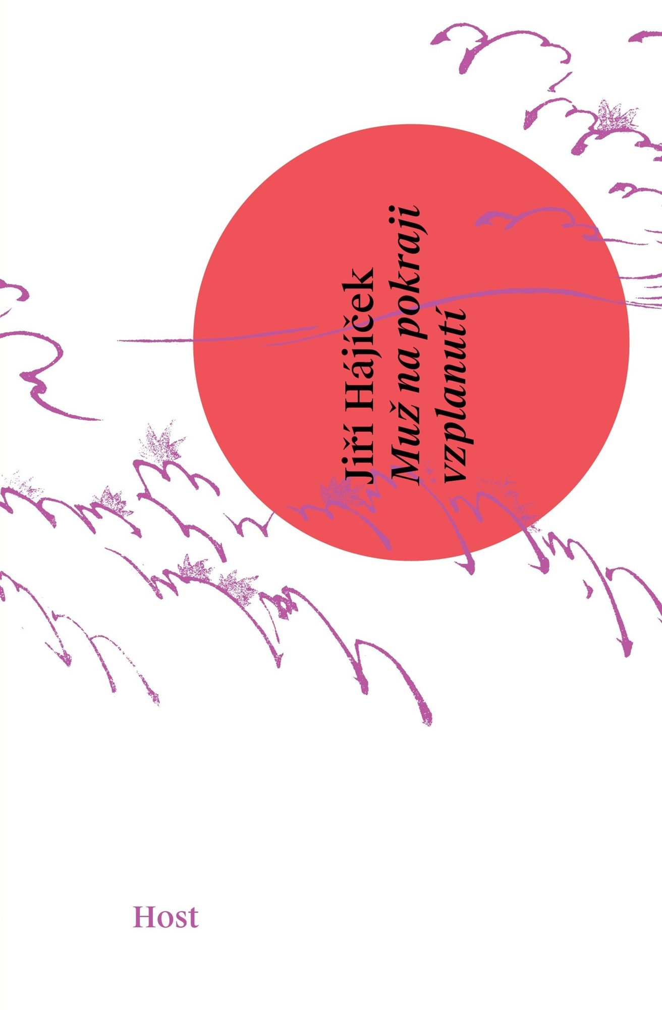 Muž na pokraji vzplanutí: Haiku z diáře 2017—2018