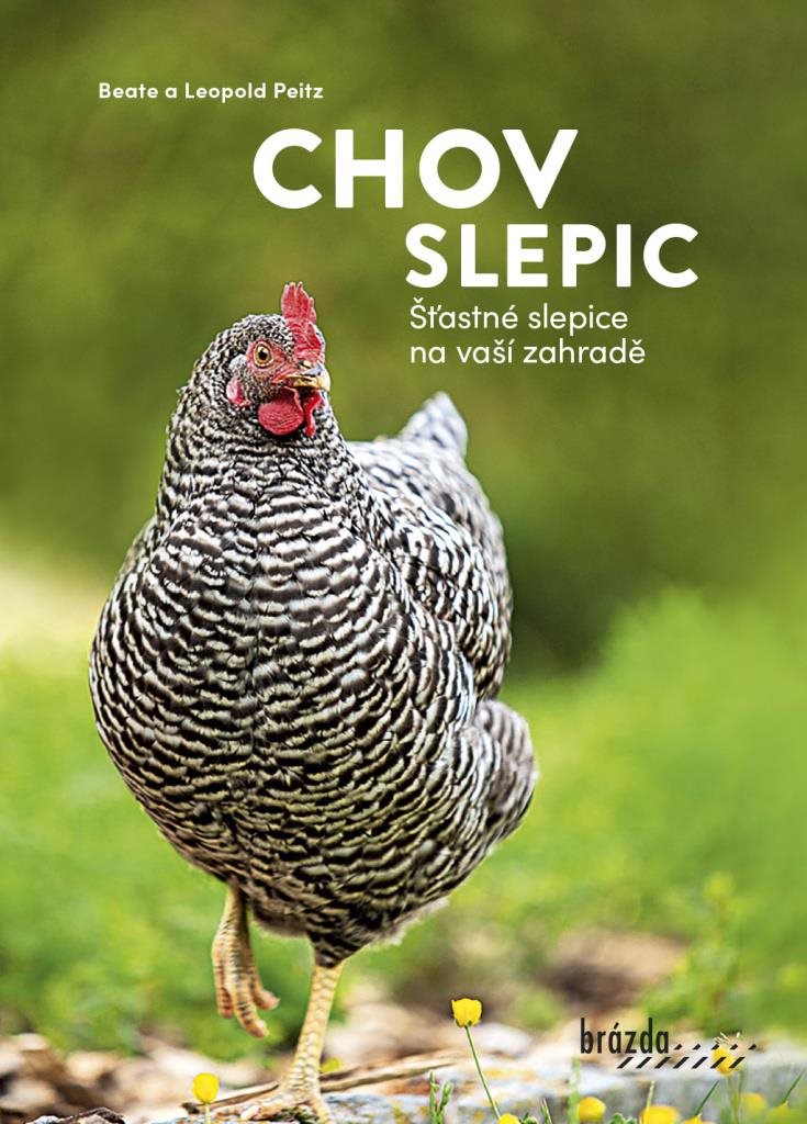 Chov slepic: Šťastné slepice na vaší zahradě
