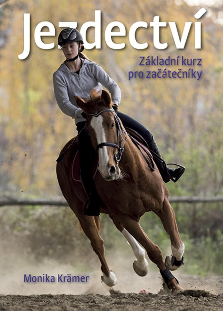 Jezdectví: základní kurz pro začátečníky