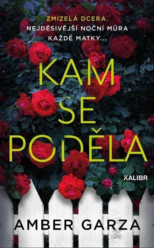 Kam se poděla: Zmizela dcera. Nejděsivější noční můra každé matky...