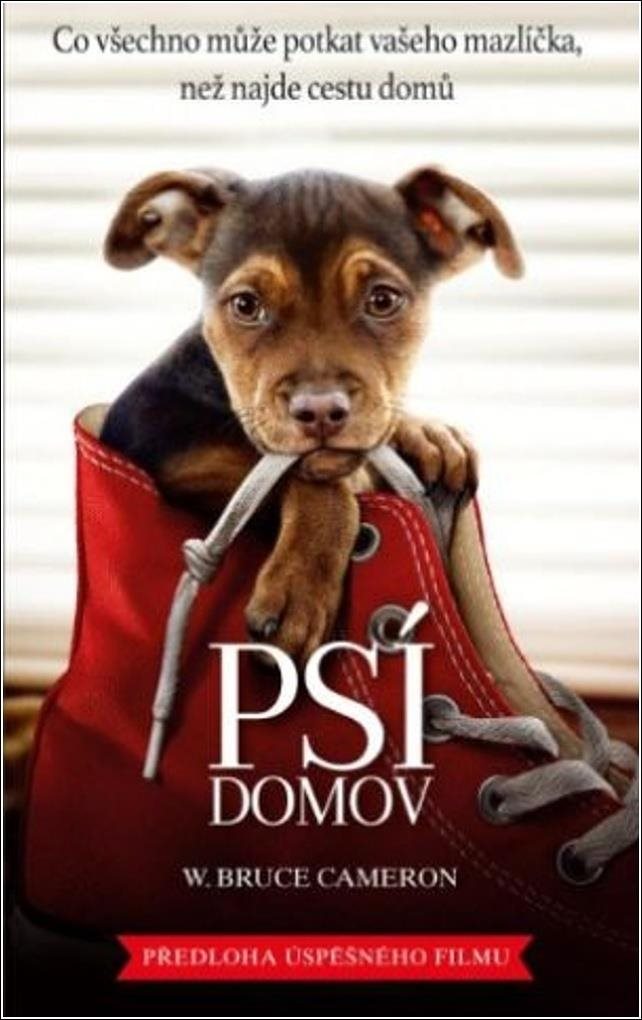 Psí domov: Co všechno může potkat vašeho mazlíčka, než najde cestu domů