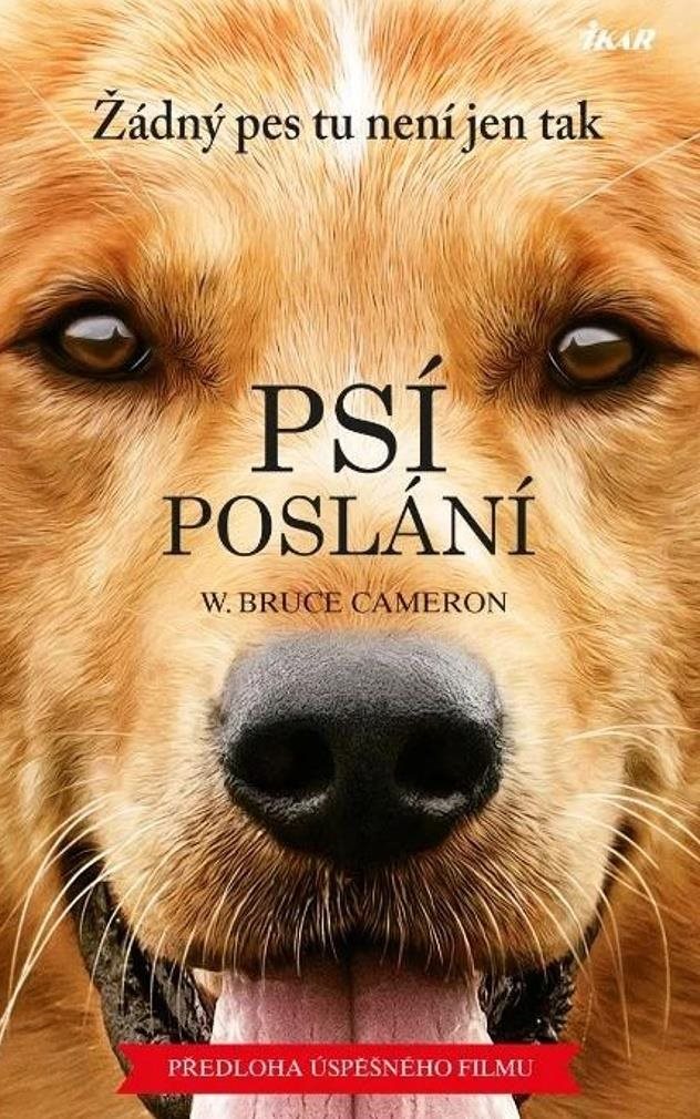 Psí poslání Žádný pes tu není jen tak: Předkoha úspěšného filmu