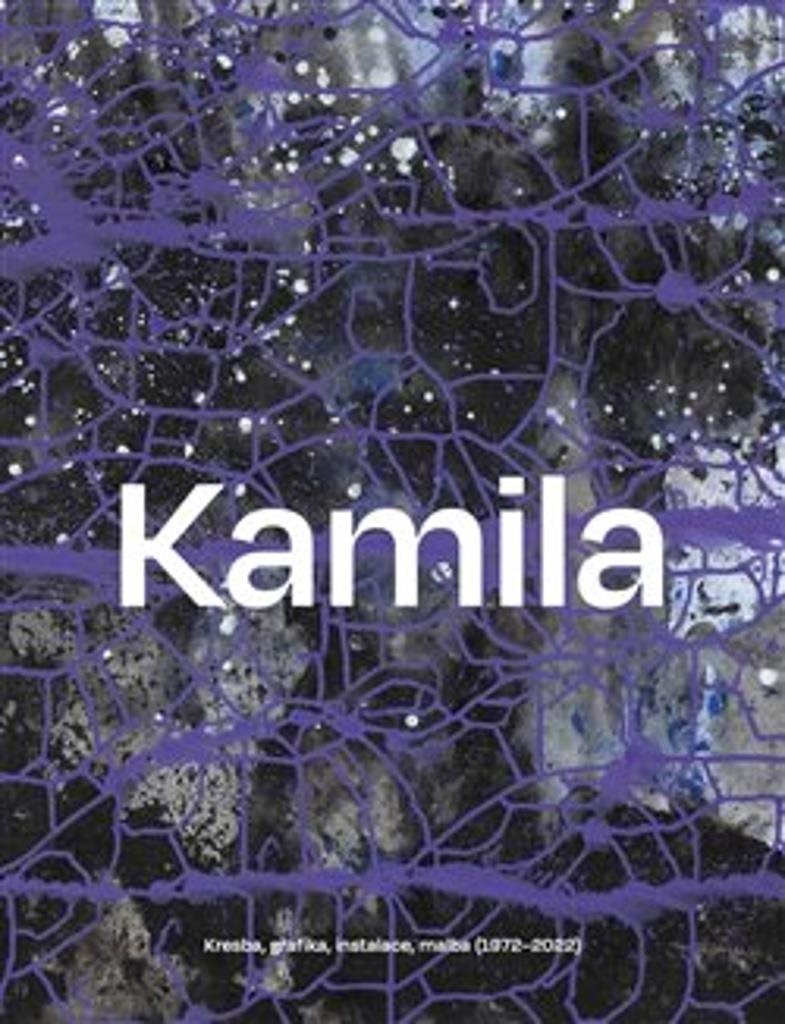 Kamila Ženatá: Kresba, grafika, instalace, malba