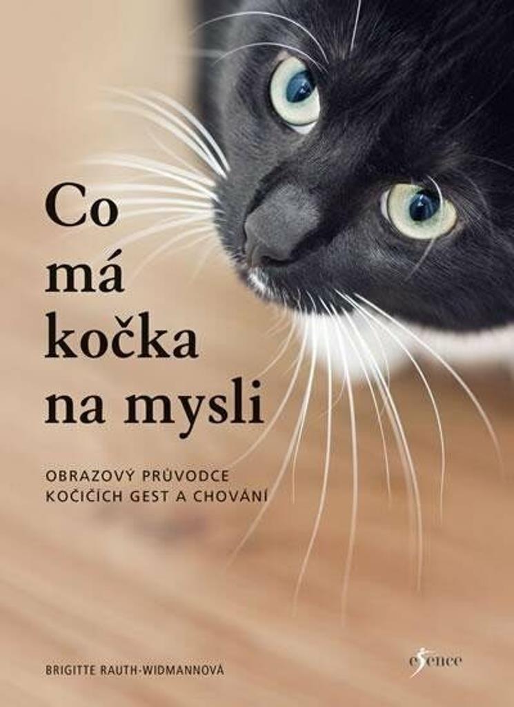 Co má kočka na mysli: Obrazový průvodce kočičích gest a chování