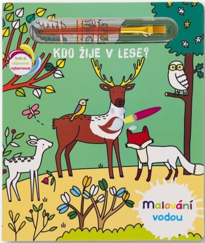 Malování vodou Kdo žije v lese?
