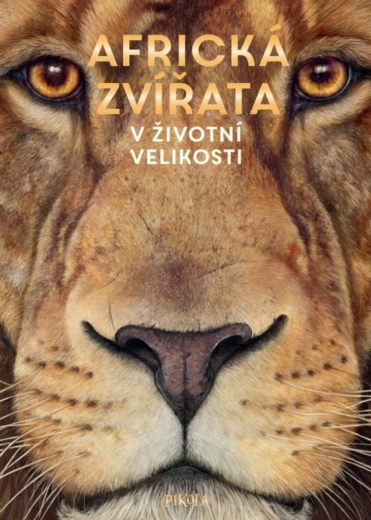 Africká zvířata V životní velikosti