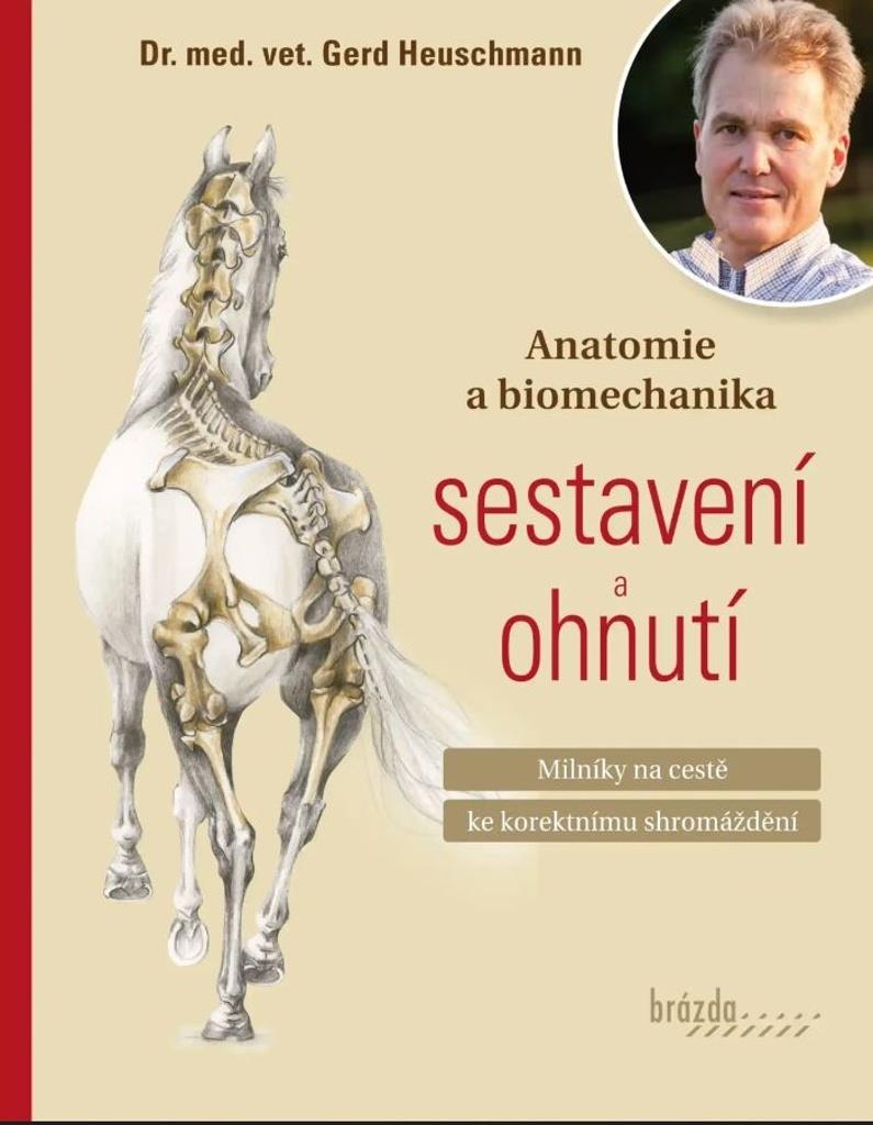 Anatomie a biomechanika sestavení a ohnutí: Milníky na cestě ke korektnímu shromáždění