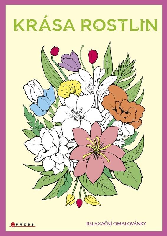 Relaxační omalovánky - skvělý způsob, jak se v klidu a pohodě věnovat své kreativitě.