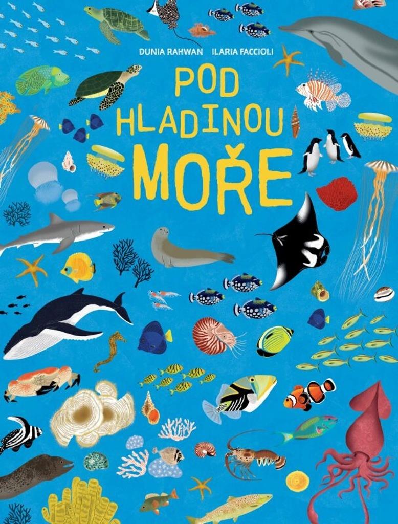 Pod hladinou moře