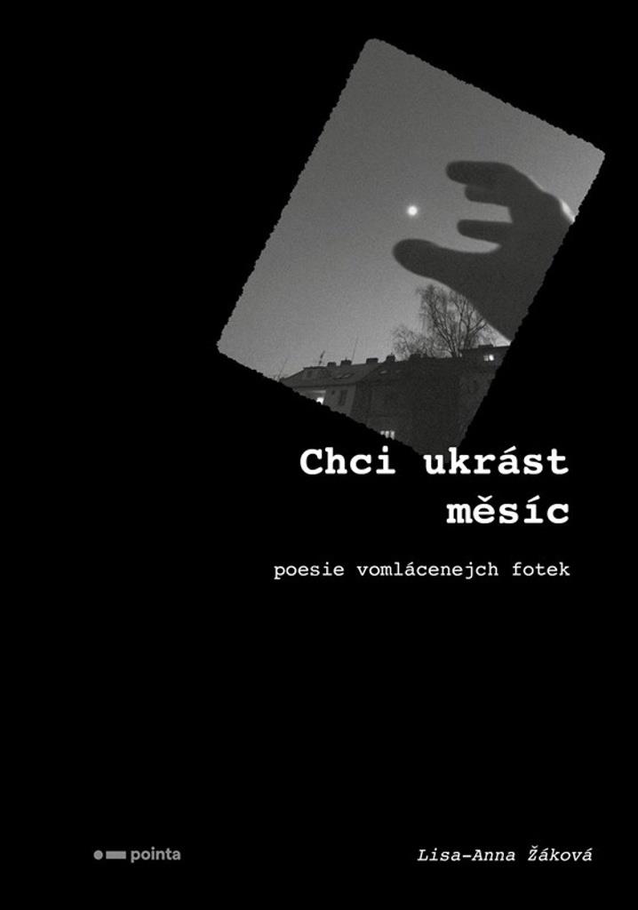 Chci ukrást měsíc: Poesie vomlácenejch fotek