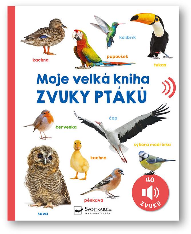 Moje velká kniha Zvuky ptáků