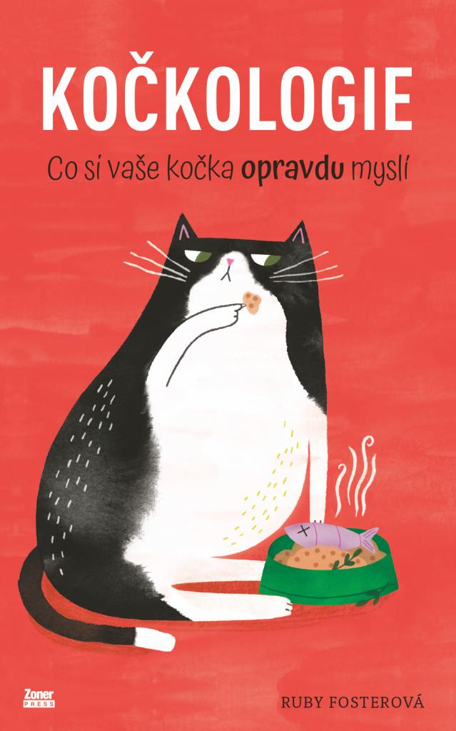 Kočkologie: Co si vaše kočka opravdu myslí