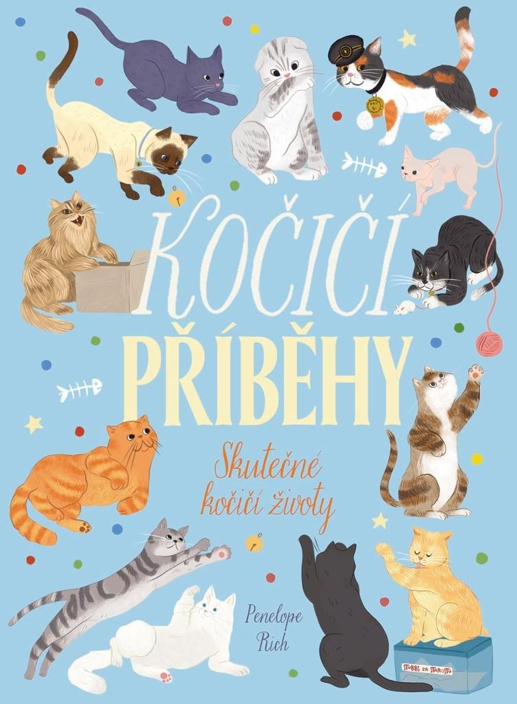 Kočičí příběhy: Skutečné kočičí životy