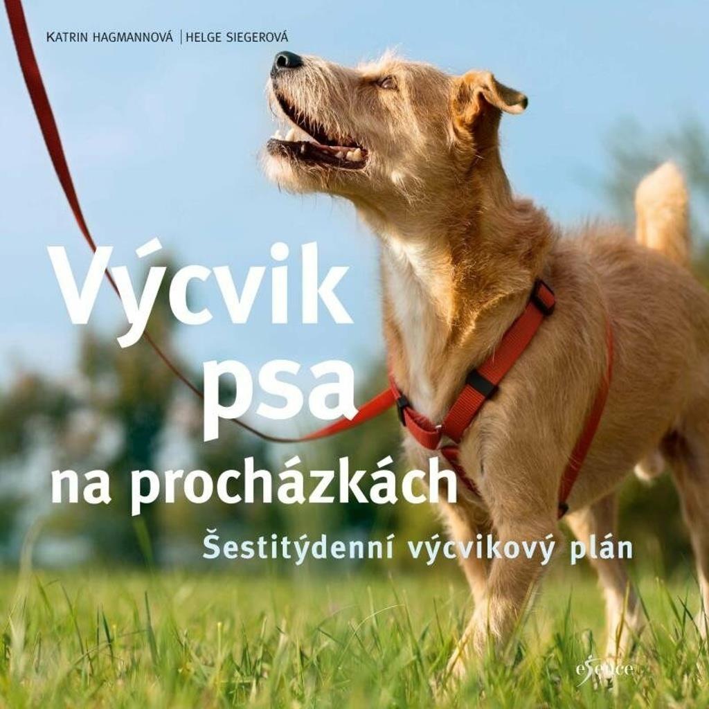 Výcvik psa na procházkách: Šestitýdenní tréninkový plán