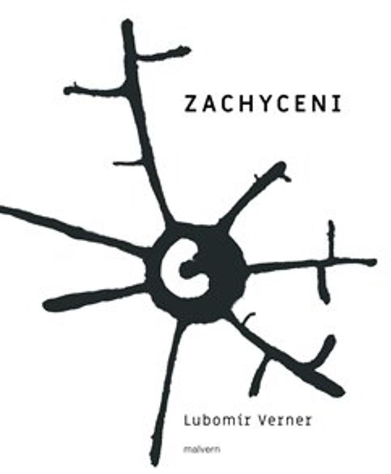 Zachycení