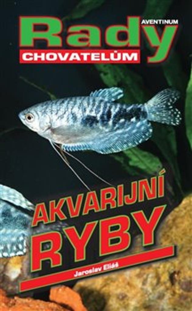 Akvarijní ryby: rady chovatelům