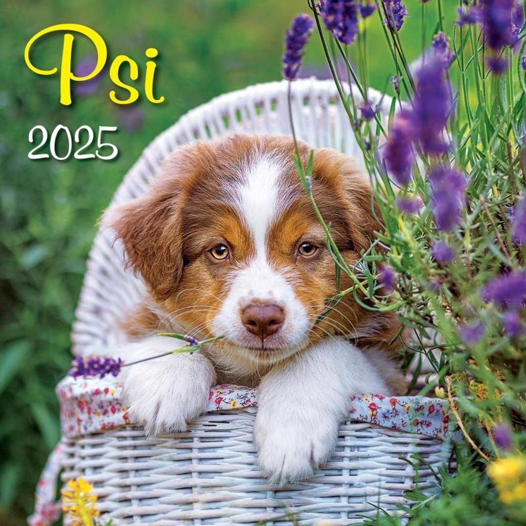 Psi 2025