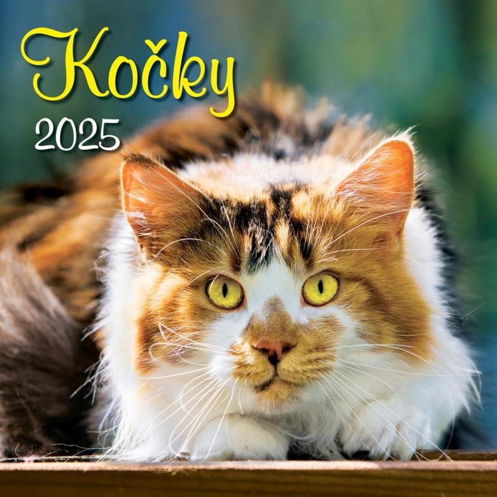 Kočky 2025