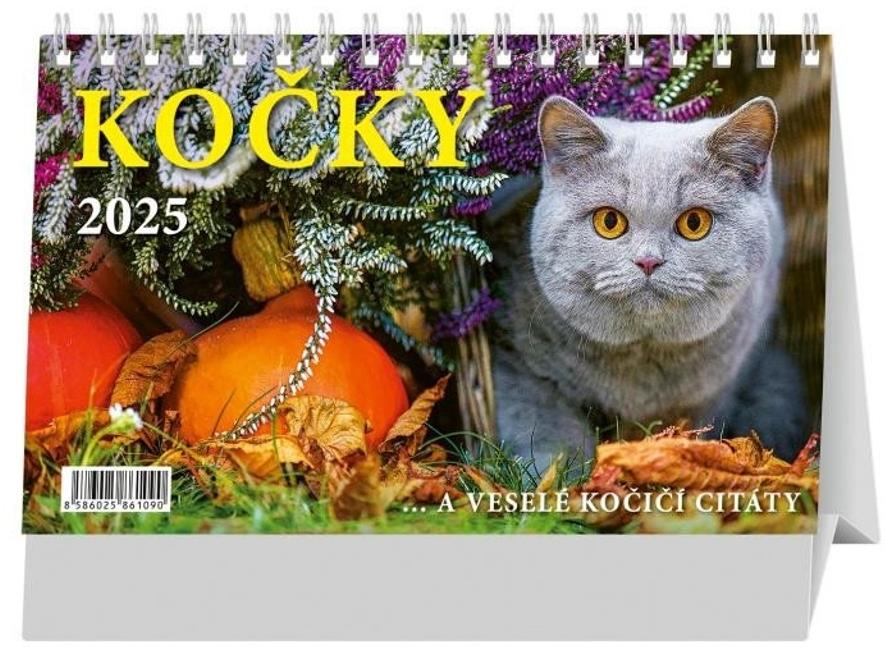 Kočky 2025