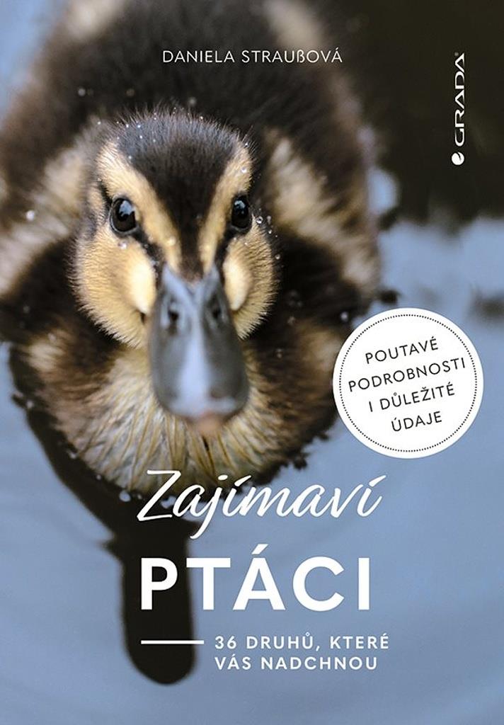 Zajímaví ptáci: 36 druhů, které vás ohromí