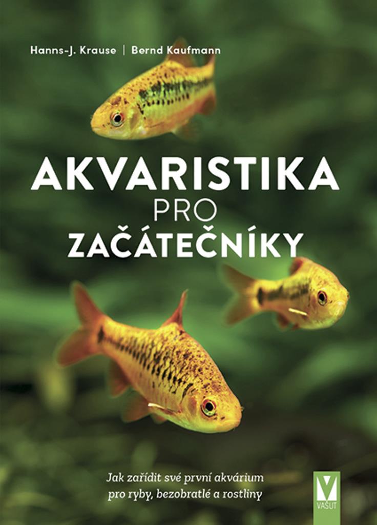 Akvaristika pro začátečníky: Jak zařídit své první akvárium pro ryby, bezobratlé a rostliny
